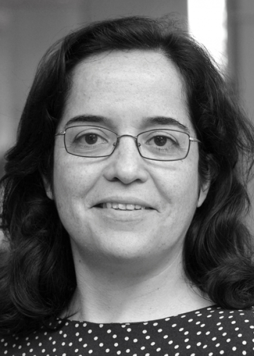 Prof. Dr. Ana Pombo