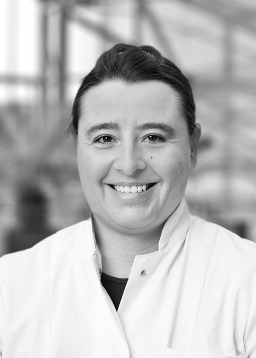 Project start date: January 1, 2026 Petra Hühnchen